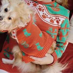 Matching Dog Christmas Sweater for Dog and Owner